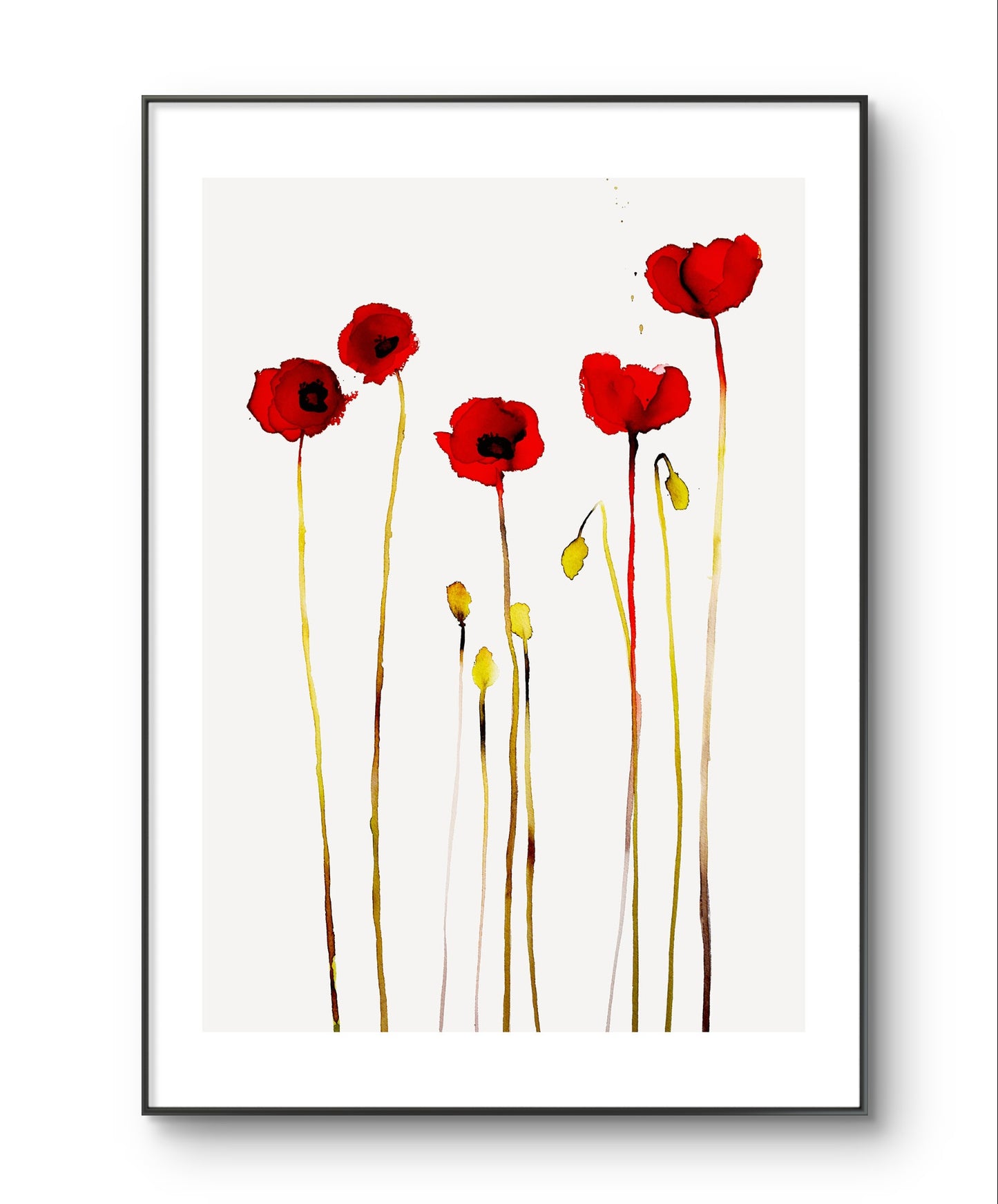Poppies