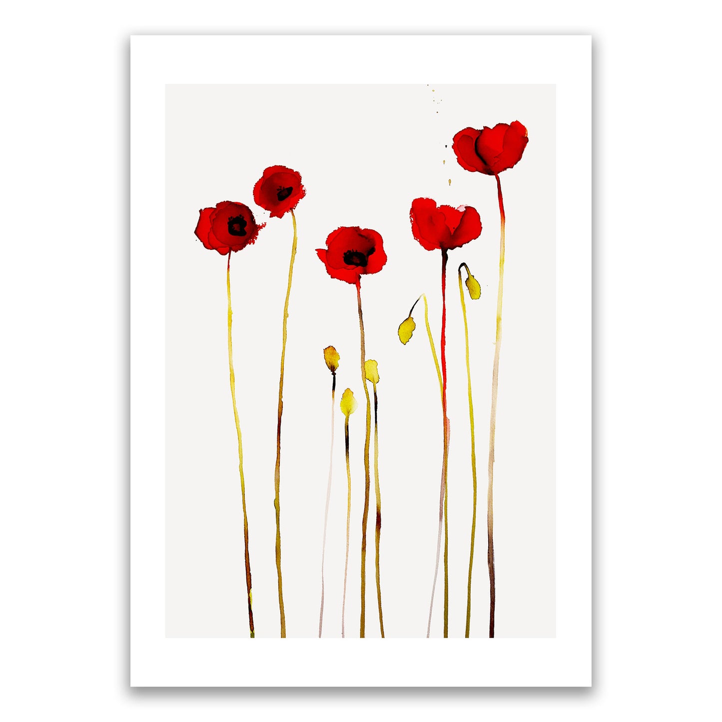 Poppies